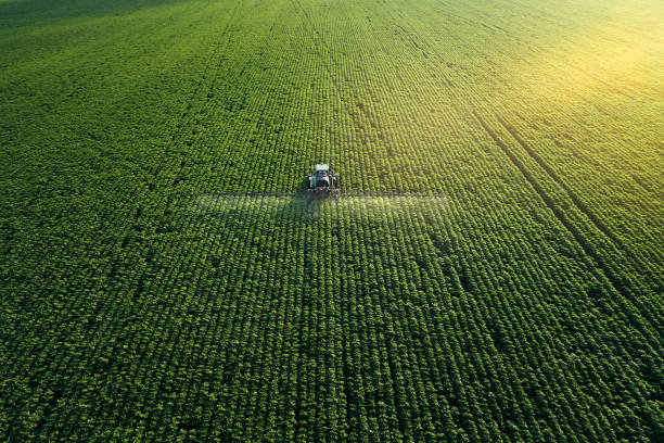 Agricultural field with a tractor